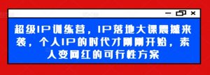 超级IP训练营,IP落地大课震撼来袭,个人IP的时代才刚刚开始,素人变网红的可行性方案-私藏资源社