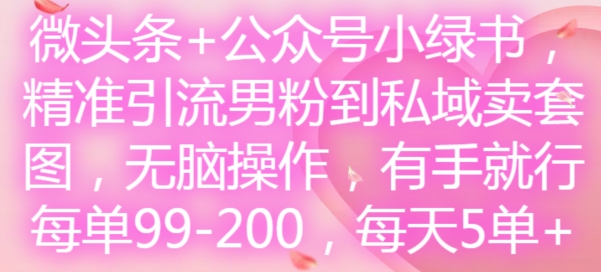微头条+公众号小绿书，精准引流男粉到私域卖套图，无脑操作，有手就行，每单99-200，每天5单-私藏资源社