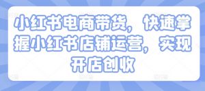 小红书电商带货,快速掌握小红书店铺运营,实现开店创收-私藏资源社