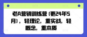 老A营销训练营(更24年7月),轻理论,重实战,轻概念,重本质-私藏资源社