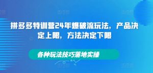 拼多多特训营24年爆破流玩法,产品决定上限,方法决定下限,各种玩法技巧落地实操-私藏资源社