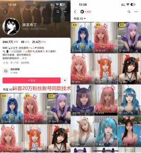 云天二次元美女起号教学,月涨10万粉丝,不判搬运-私藏资源社