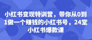 小红书变现特训营,带你从0到1做一个赚钱的小红书号,24堂小红书爆款课-私藏资源社