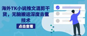 海外TK小说推文混剪干货,无脑搬运深度去重技术-私藏资源社
