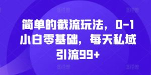 简单的截流玩法,0-1小白零基础,每天私域引流99+【揭秘】-私藏资源社