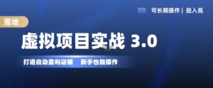 虚拟项目实战3.0,打造自动盈利店铺,可长期操作投入低,新手也能操作-私藏资源社