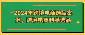 2024年跨境电商选品案例,跨境电商利基选品(更新11月)-私藏资源社
