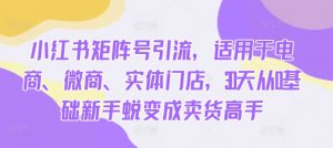 小红书矩阵号引流,适用于电商、微商、实体门店,30天从0基础新手蜕变成卖货高手-私藏资源社