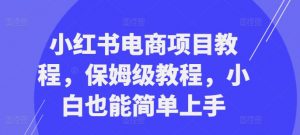 小红书电商项目教程,保姆级教程,小白也能简单上手-私藏资源社