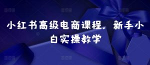 小红书高级电商课程,新手小白实操教学-私藏资源社