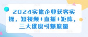 2024实体企业获客实操,短视频+直播+矩阵,三大维度引爆流量-私藏资源社