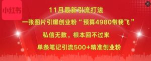 小红书11月最新图片打粉,一张图片引爆创业粉,“预算4980带我飞”,单条引流500+精准创业粉-私藏资源社