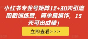 小红书专业号矩阵12+30天引流陪跑训练营,简单易操作,15天可出成绩!-私藏资源社