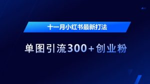十一月小红书最新打法,单图引流300+创业粉【揭秘】-私藏资源社
