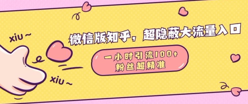 微信版知乎，超隐蔽流量入口1小时引流100人，粉丝质量超高【揭秘】-私藏资源社
