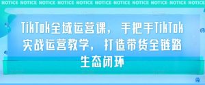 TikTok全域运营课,手把手TikTok实战运营教学,打造带货全链路生态闭环-私藏资源社