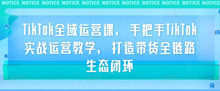 TikTok全域运营课，手把手TikTok实战运营教学，打造带货全链路生态闭环-私藏资源社