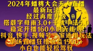 2024年蟠桃大会无人直播最新玩法,稳定开播160小时无违规,抖音、快手、视频号三家通用玩法【揭秘】-私藏资源社