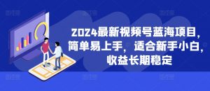 2024最新视频号蓝海项目,简单易上手,适合新手小白,收益长期稳定-私藏资源社