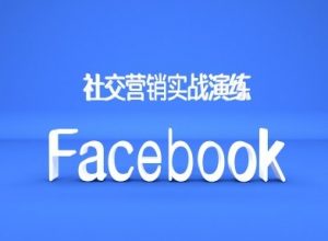 Facebook社交营销实战演练,外贸人绝对不能错过的营销推广平台-私藏资源社