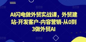 AI闪电做外贸实战课,外贸建站-开发客户-内容营销-从0到3做外贸AI(更新)-私藏资源社