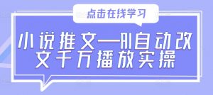 小说推文—AI自动改文千万播放实操-私藏资源社
