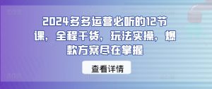 2024多多运营必听的12节课,全程干货,玩法实操,爆款方案尽在掌握-私藏资源社