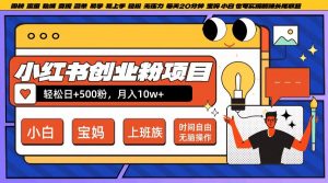小红书创业粉项目日+500粉,每天20分钟躺赚长尾收益,无脑操作,宝妈,小白抓紧冲【揭秘】-私藏资源社