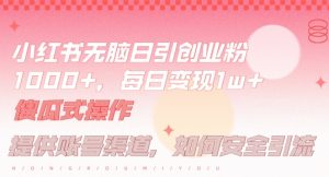 小红书无脑每日引流创业粉500+,小白每天只花半小时,躺赚长尾收益【揭秘】-私藏资源社