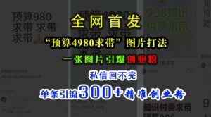 小红书“预算4980带我飞”图片打法,一张图片引爆创业粉,私信回不完,单条引流300+精准创业粉-私藏资源社