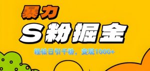 单人单机日引千粉,变现1k+,S粉流量掘金计划攻略【揭秘】-私藏资源社