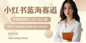 小红书蓝海赛道,圈中高端职场人,月入无上限,可矩阵,内含私域实操教程!-私藏资源社