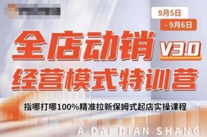 全店动销经营模式特训营,指哪打哪100%精准拉新保姆式起店实操课程-私藏资源社