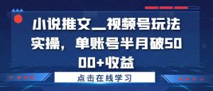 小说推文—视频号玩法实操,单账号半月破5000+收益-私藏资源社