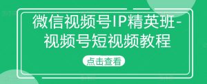 微信视频号IP精英班-视频号短视频教程-私藏资源社