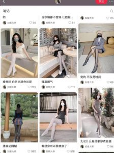 AI打造网红账号,一周收入超5位数,还能矩阵操做-私藏资源社
