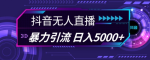 抖音快手视频号全平台通用无人直播引流法,利用图片模板和语音话术,暴力日引流100+创业粉【揭秘】-私藏资源社