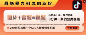 抖音最新暴力引流创业粉,3分钟一条创业类视频,24h轻松加爆一个500人精准创业粉群【揭秘】-私藏资源社