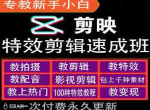 剪映特效教程和运营变现教程,特效剪辑速成班,专教新手小白-私藏资源社