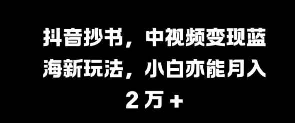 抖音抄书，中视频变现蓝海新玩法，小白亦能月入 过W【揭秘】-私藏资源社