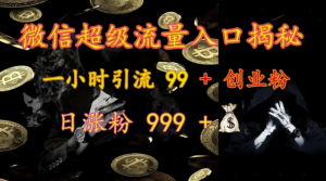 微信超级流量入口揭秘:一小时引流 99 + 创业粉,日涨粉 999 +-私藏资源社